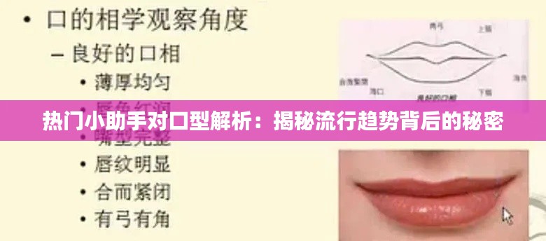 热门小助手对口型解析:揭秘流行趋势背后的秘密