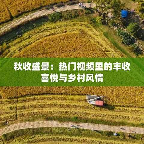 秋收盛景:热门视频里的丰收喜悦与乡村风情