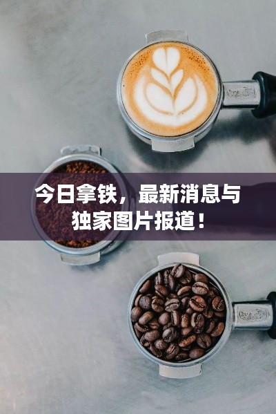 今日拿铁,最新消息与独家图片报道!