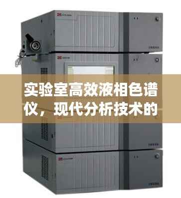 东张西望 第5页