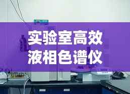 实验室高效液相色谱仪,现代分析技术的核心利器