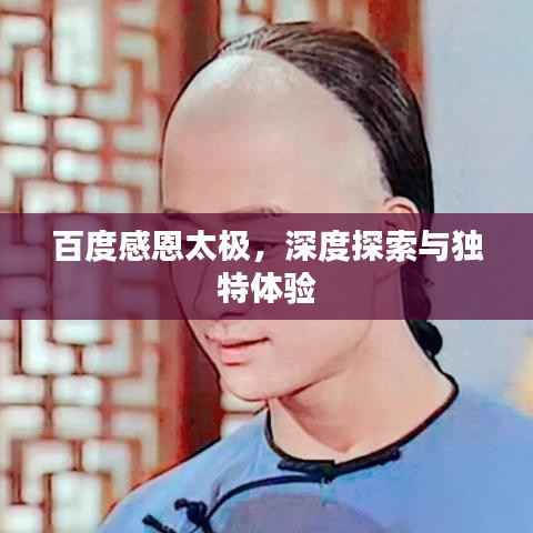 百度感恩太极,深度探索与独特体验