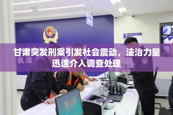 甘肃突发刑案引发社会震动，法治力量迅速介入调查处理