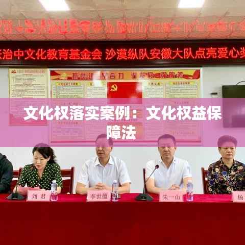 文化权落实案例:文化权益保障法