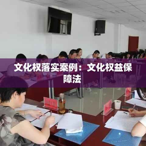 文化权落实案例:文化权益保障法