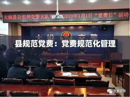县规范党费:党费规范化管理