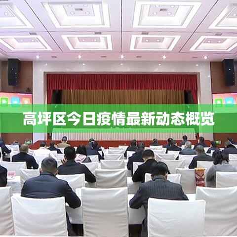 高坪区今日疫情最新动态概览