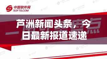 芦洲新闻头条,今日最新报道速递