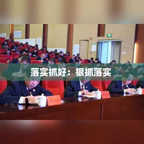 落实抓好：狠抓落实 