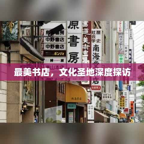 最美书店,文化圣地深度探访