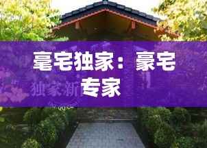 毫宅独家:豪宅专家