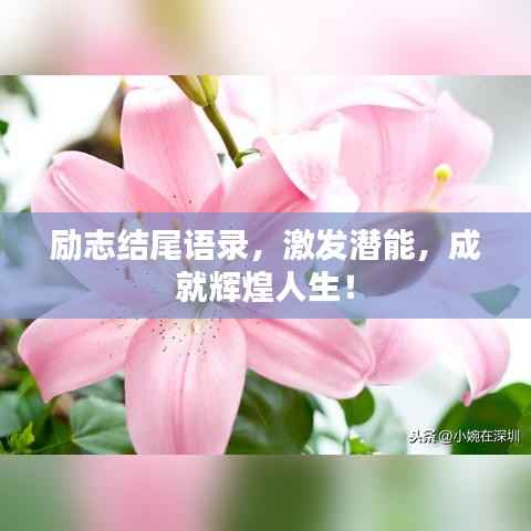 励志结尾语录,激发潜能,成就辉煌人生!