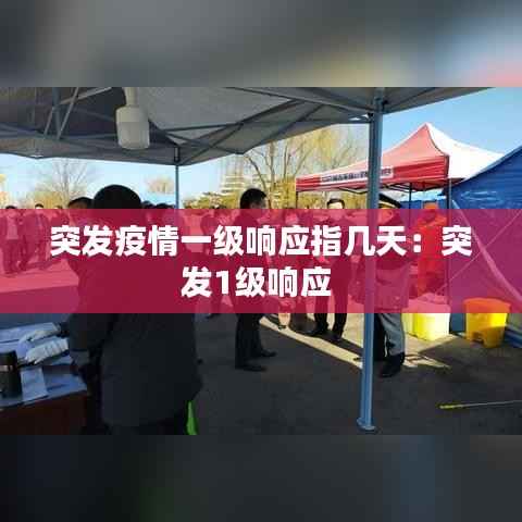 突发疫情一级响应指几天：突发1级响应 