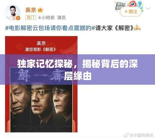 独家记忆探秘,揭秘背后的深层缘由