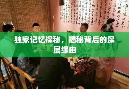 独家记忆探秘,揭秘背后的深层缘由