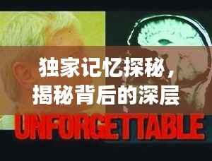 独家记忆探秘,揭秘背后的深层缘由