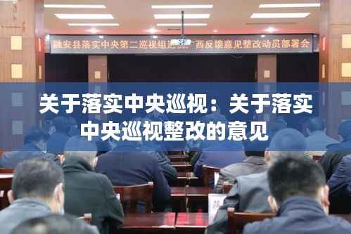 关于落实中央巡视:关于落实中央巡视整改的意见