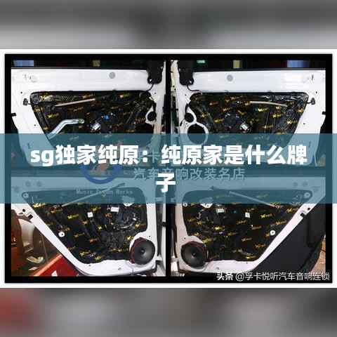 sg独家纯原：纯原家是什么牌子 