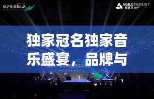 独家冠名独家音乐盛宴，品牌与音乐的完美融合之旅