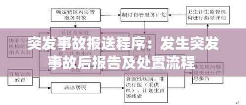 突发事故报送程序:发生突发事故后报告及处置流程