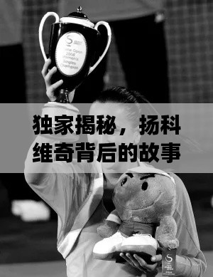 独家揭秘,扬科维奇背后的故事