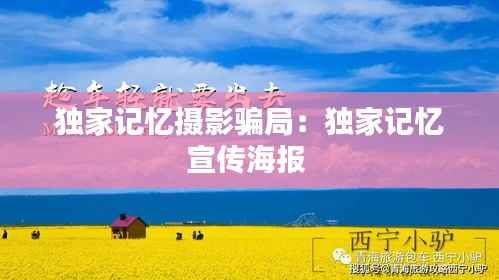 独家记忆摄影骗局：独家记忆宣传海报 