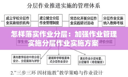 怎样落实作业分层:加强作业管理实施分层作业实施方案