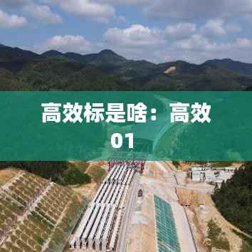 高效标是啥：高效01 