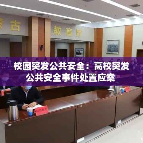 校园突发公共安全：高校突发公共安全事件处置应案 