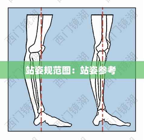 站姿规范图:站姿参考