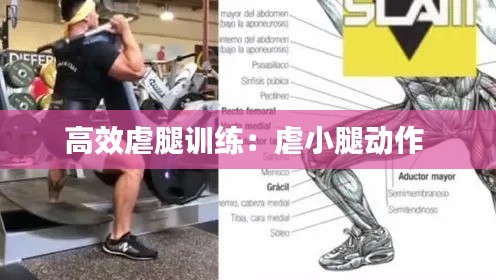 高效虐腿训练:虐小腿动作