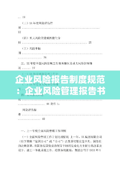 企业风险报告制度规范:企业风险管理报告书范文