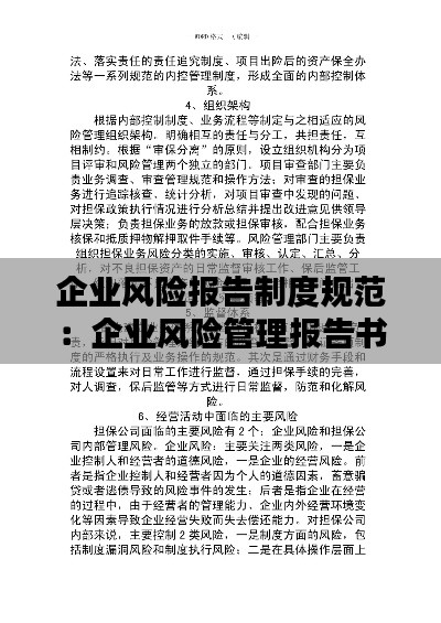 企业风险报告制度规范:企业风险管理报告书范文