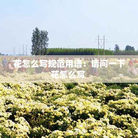 花怎么写规范用语:请问一下花怎么写