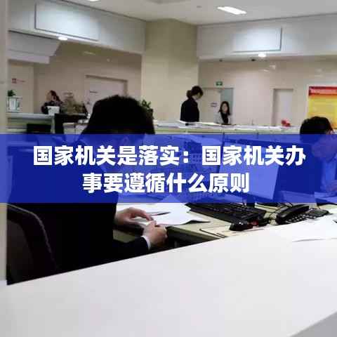 国家机关是落实:国家机关办事要遵循什么原则