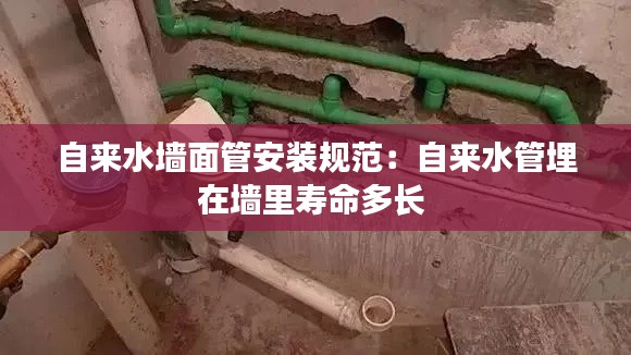 自来水墙面管安装规范:自来水管埋在墙里寿命多长