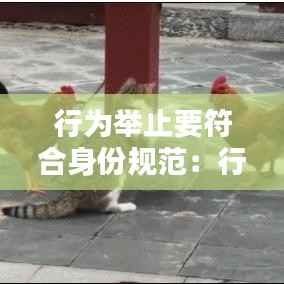 行为举止要符合身份规范：行为 举止 