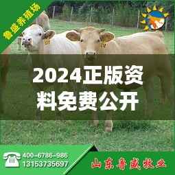 2024正版资料免费公开:猪、牛、马、狗,四肖期期中