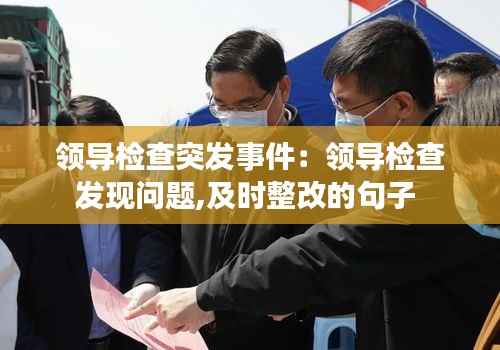 领导检查突发事件：领导检查发现问题,及时整改的句子 