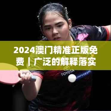 2024澳门精准正版免费|广泛的解释落实方法分析