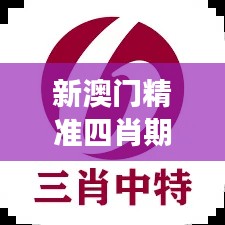 新澳门精准四肖期期中特公开|可靠执行计划