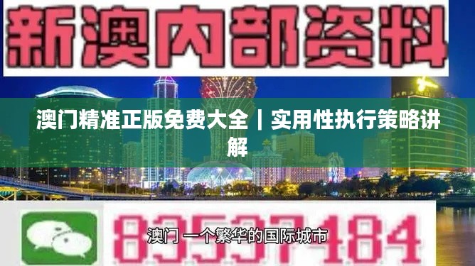 澳门精准正版免费大全｜实用性执行策略讲解