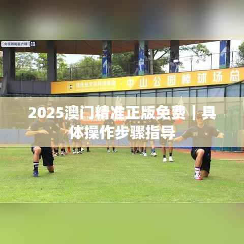 2025澳门精准正版免费|具体操作步骤指导