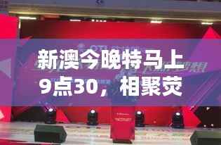新澳今晚特马上9点30，相聚荧幕共度难忘时光