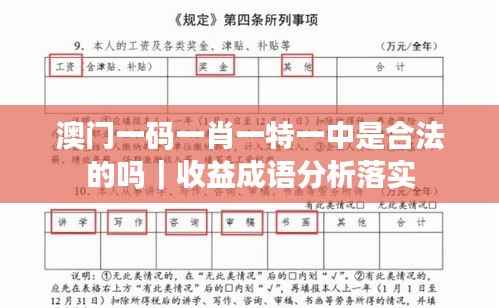 澳门一码一肖一特一中是合法的吗｜收益成语分析落实