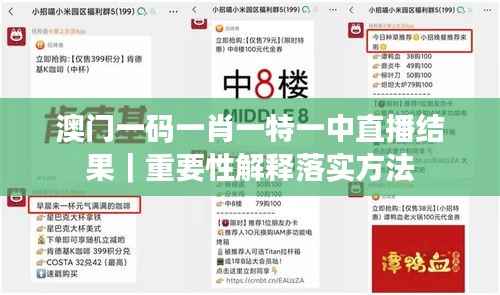 澳门一码一肖一特一中直播结果｜重要性解释落实方法