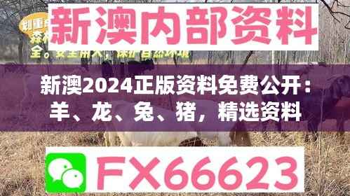 新澳2024正版资料免费公开:羊、龙、兔、猪,精选资料