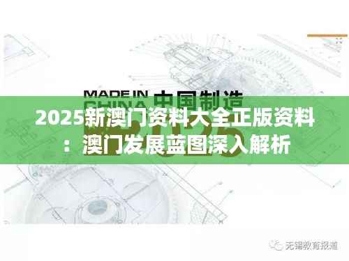 2025新澳门资料大全正版资料：澳门发展蓝图深入解析