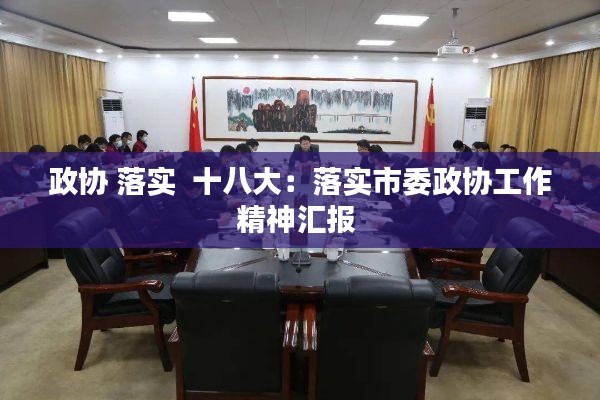 政协 落实 十八大:落实市委政协工作精神汇报