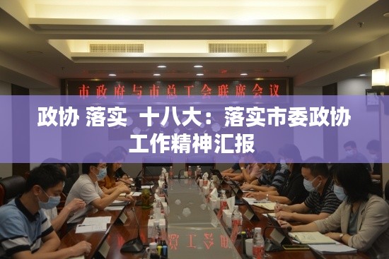 政协 落实 十八大:落实市委政协工作精神汇报